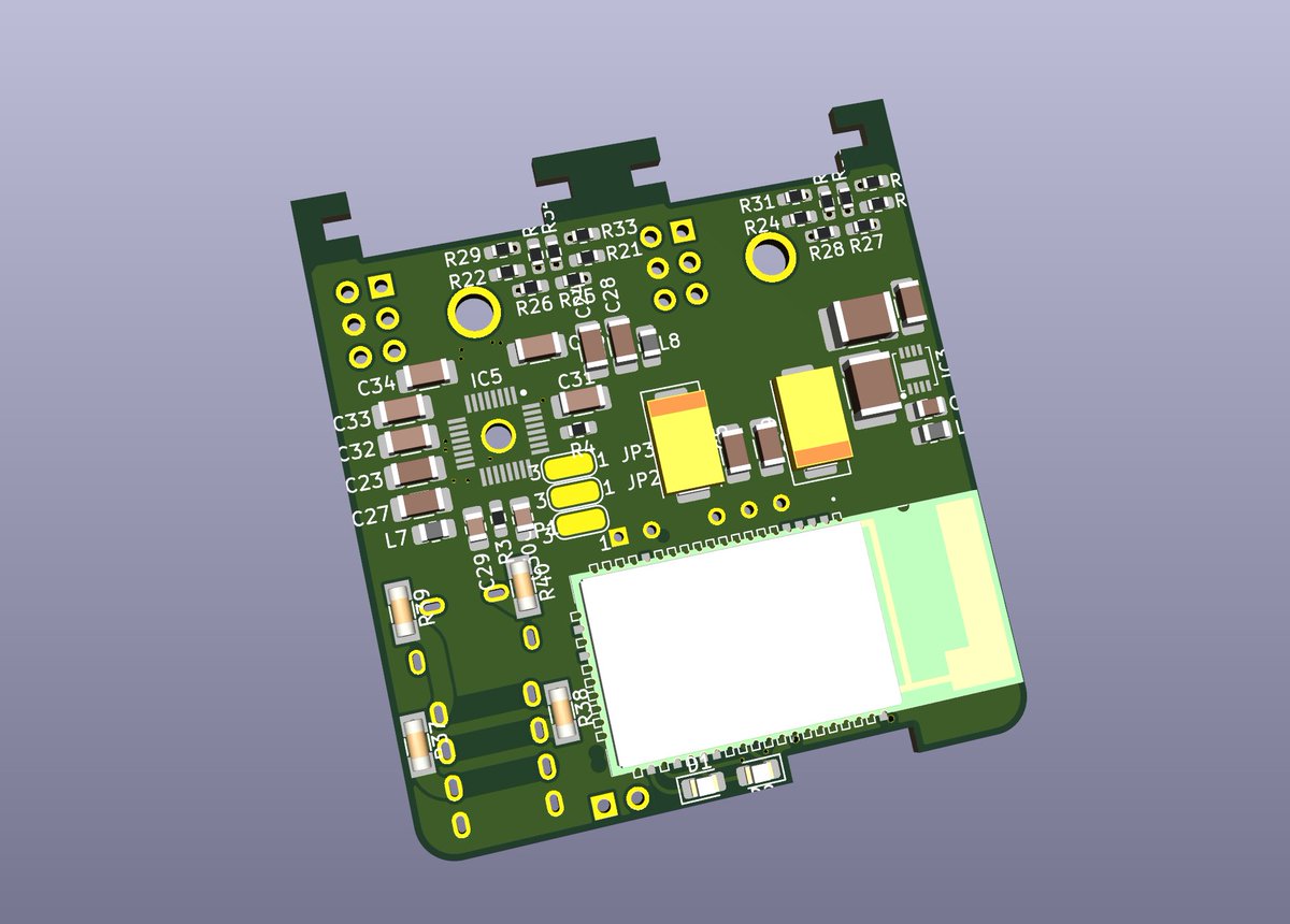 ♡まめしば♡ 豆しば♀ | Baby | 千葉県船橋市のブリーダーならRqueen