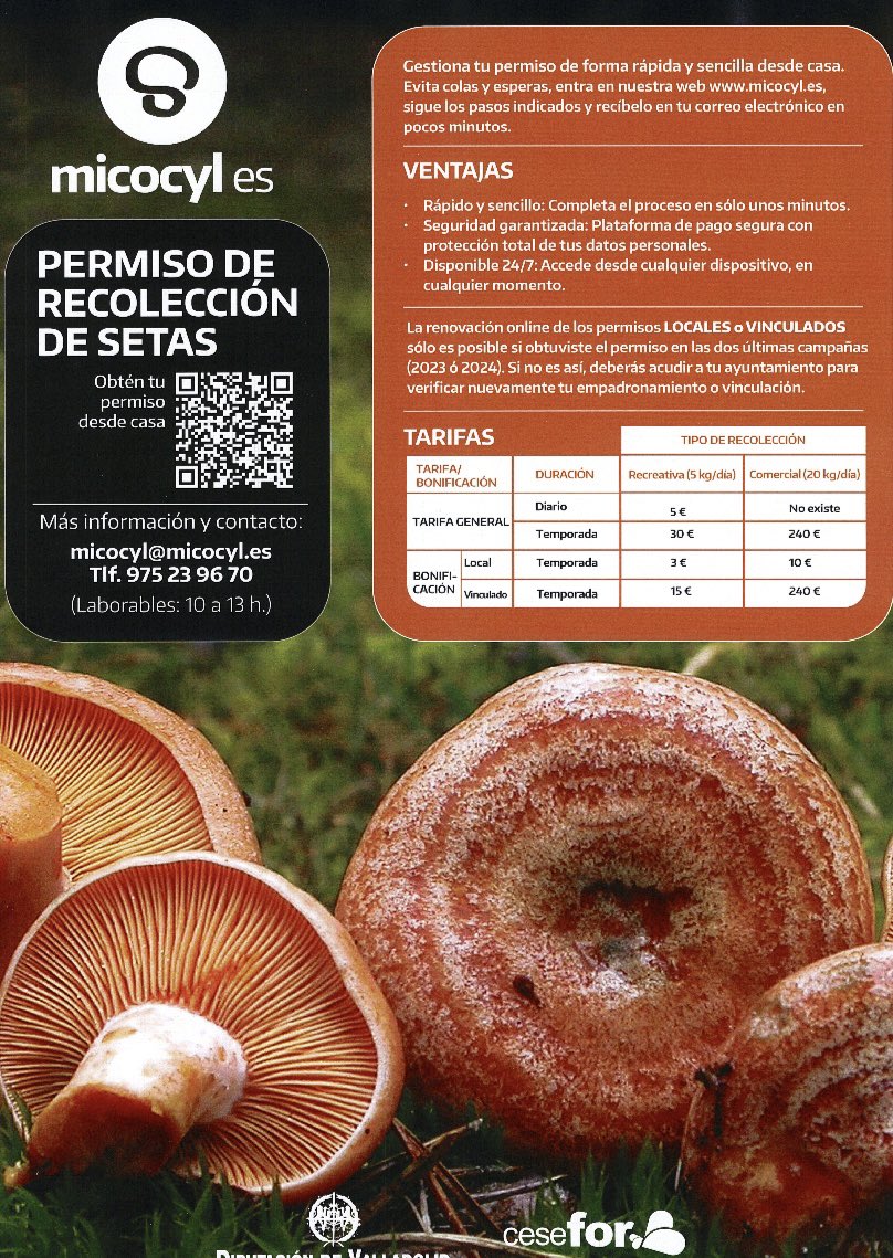 Permiso de recolección de setas.

Ya puedes obtener tu licencia en las oficinas del Ayuntamiento (10h a 13h) o a través del código QR para esta temporada.

Aficionado o profesional.
🍄 🍄‍🟫 🍄 🍄‍🟫