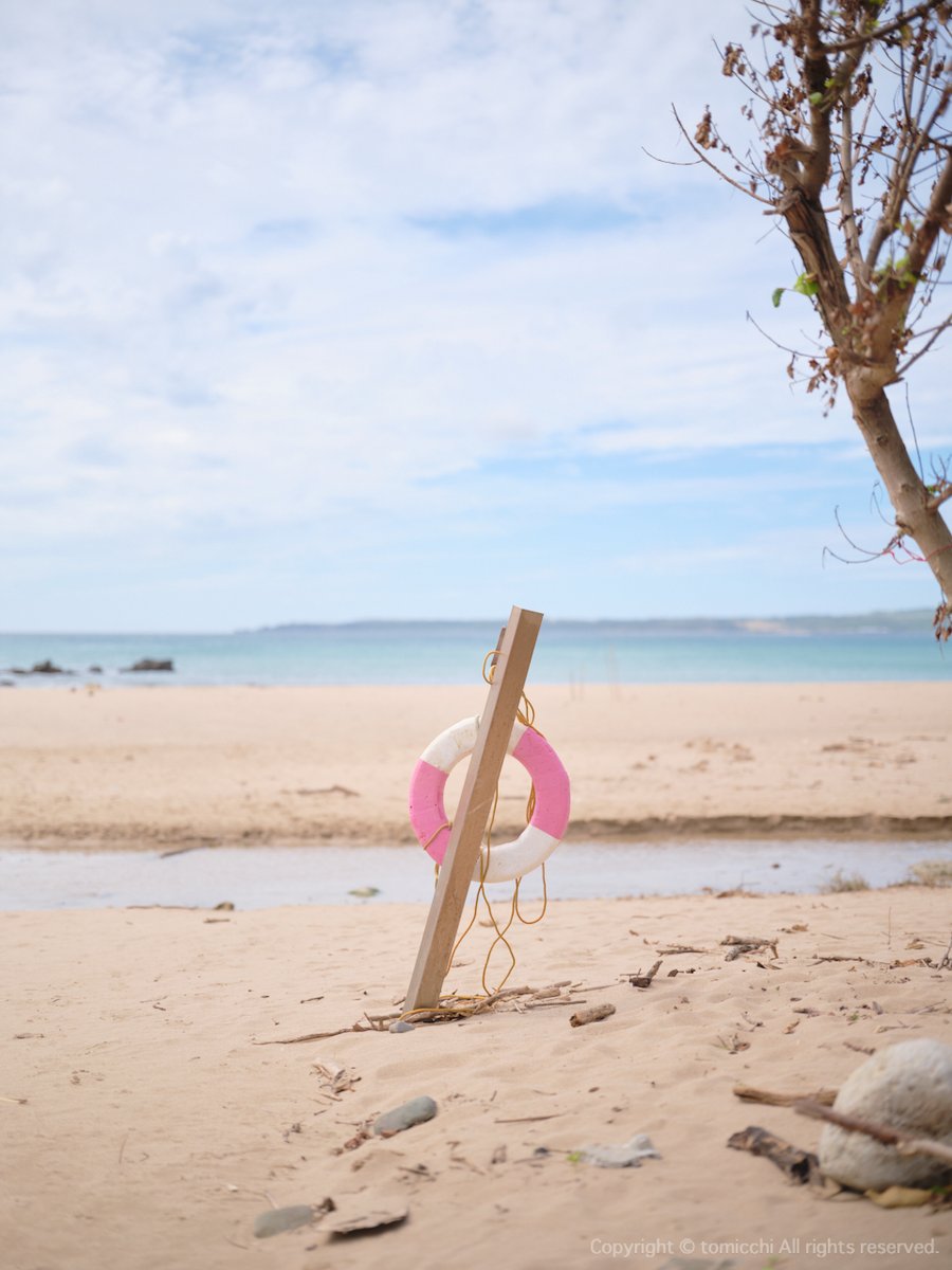 tomicchi (@tomicchi1293) / Posts / X