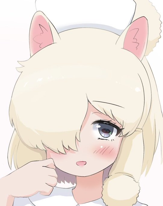 #顔だけで何リポスト来るか さあ、張った張った!三⌒