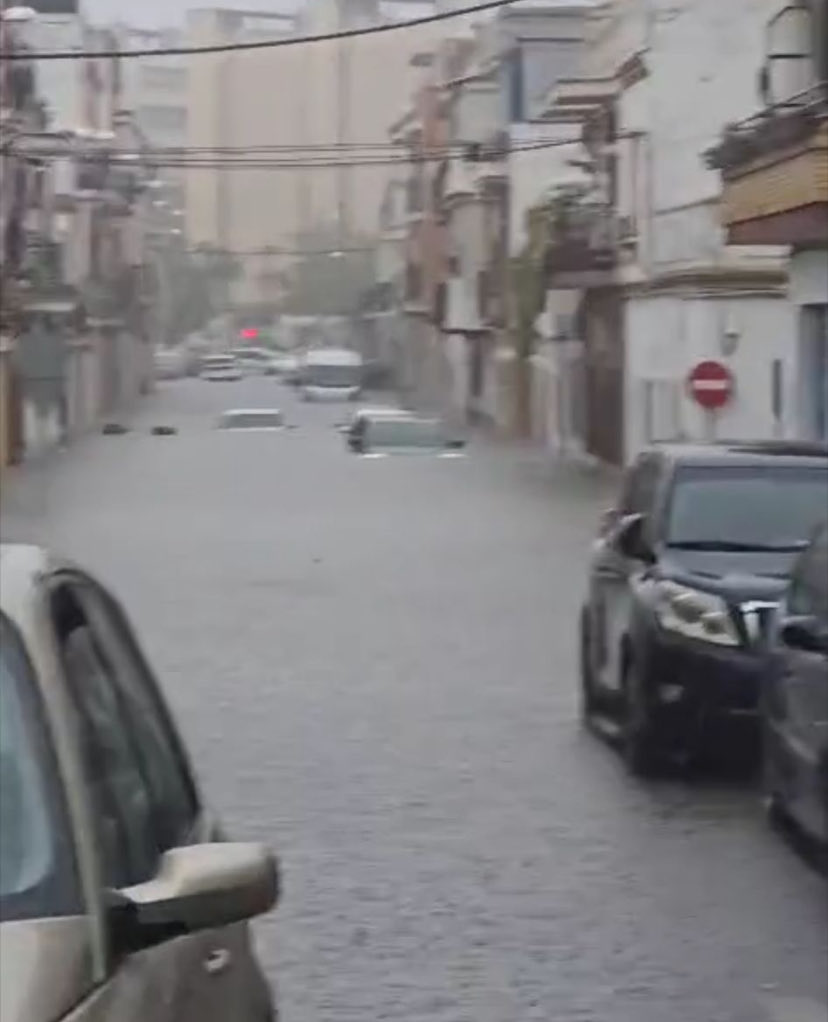 avcerrounido tweet media