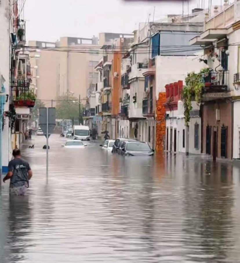 avcerrounido tweet media