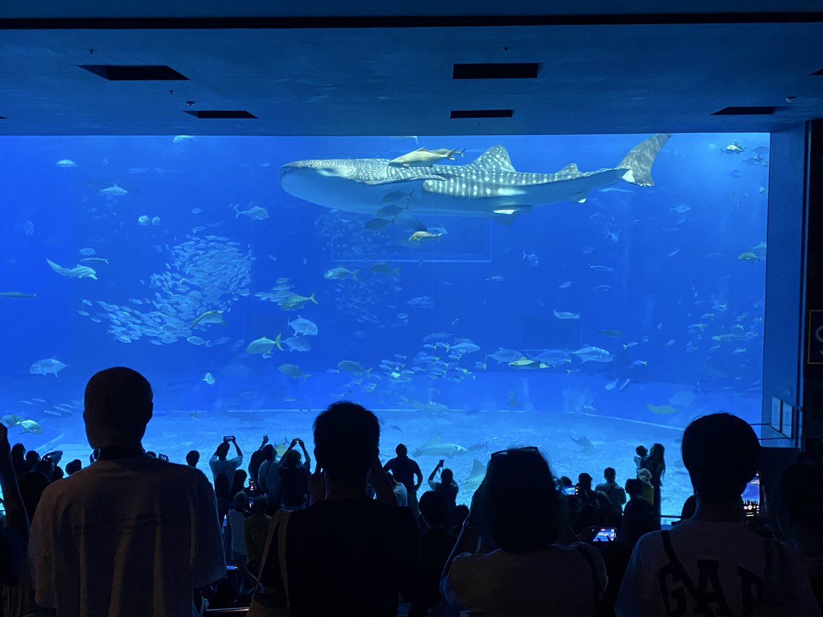 RGB4649's tweet photo. ひさびさ水族館へ^_^ https://t.co/0cwu5fkBNY
