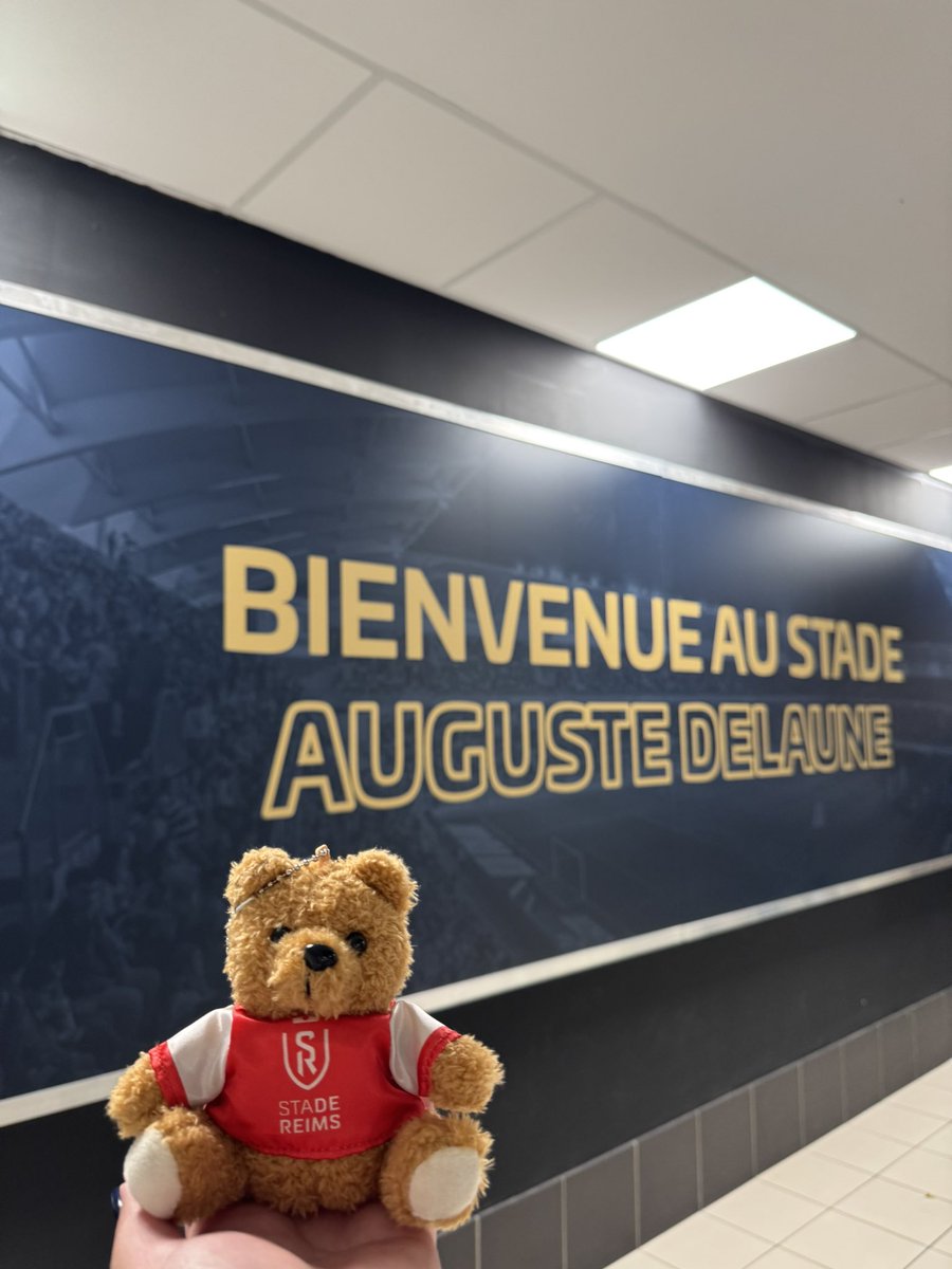 あ、そう言えばついこの間ヨーロッパ冬時間になったので日本との時差8時間になりました⏰
スタッドランスの試合見る方とか配信時間とかも変わるので気を付けてねっていうお知らせでした🫶🏻