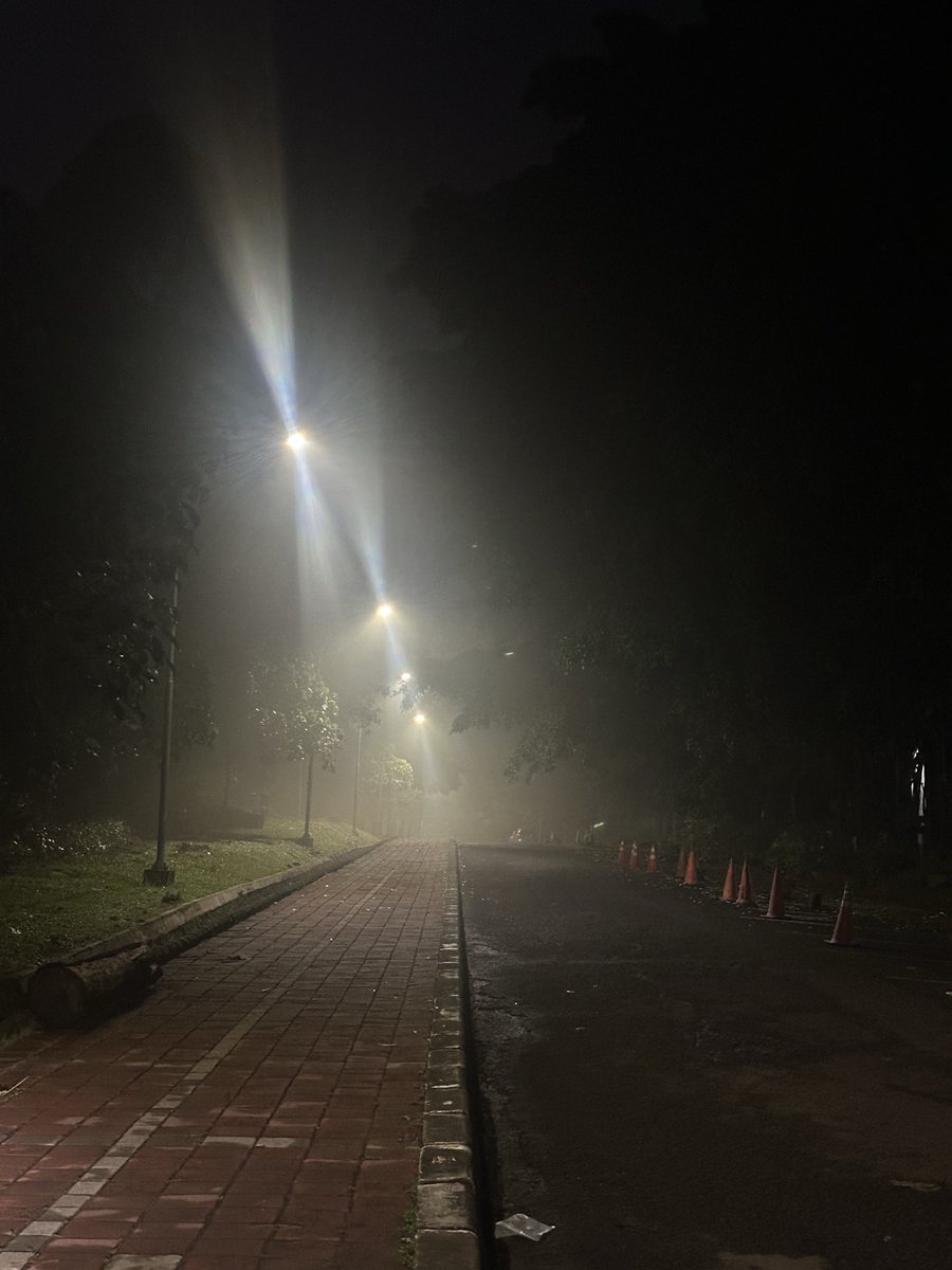 xoxofirstclasss's tweet image. silent hill (depok version)