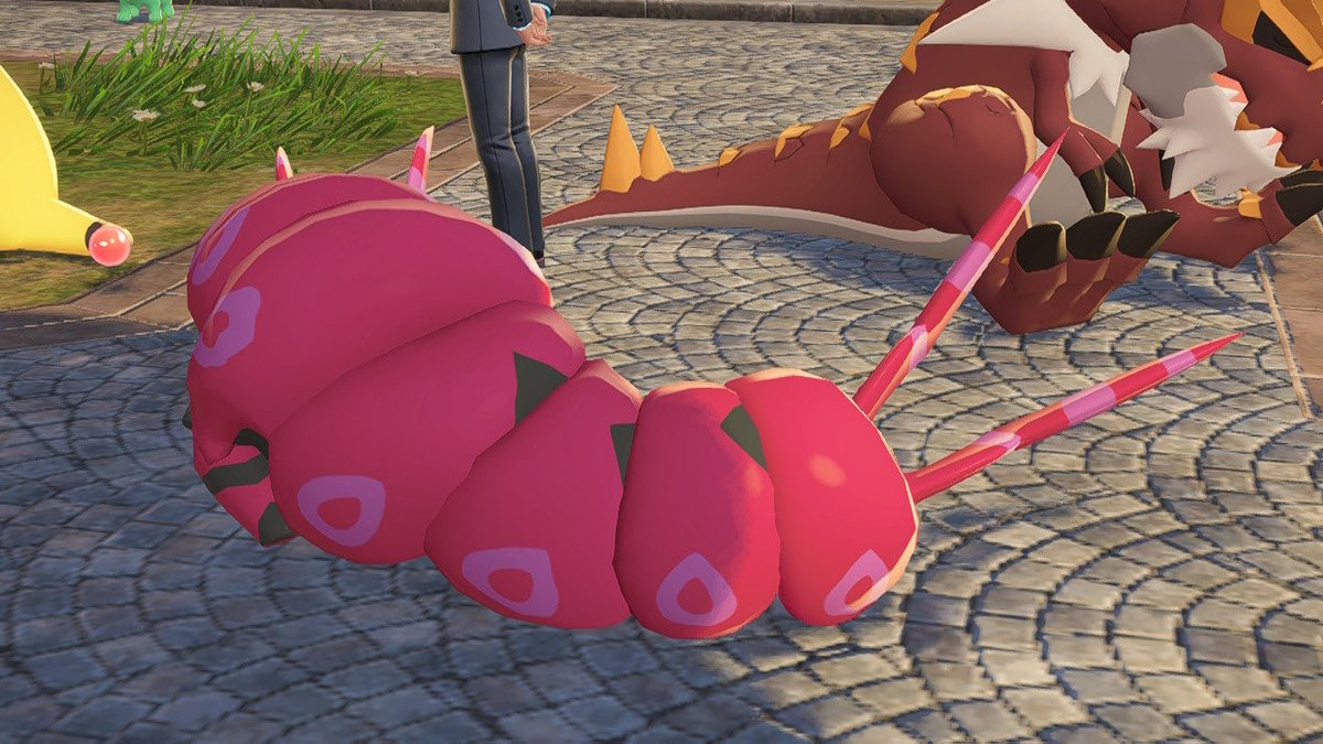 ぺんどらの後頭部かなり猫