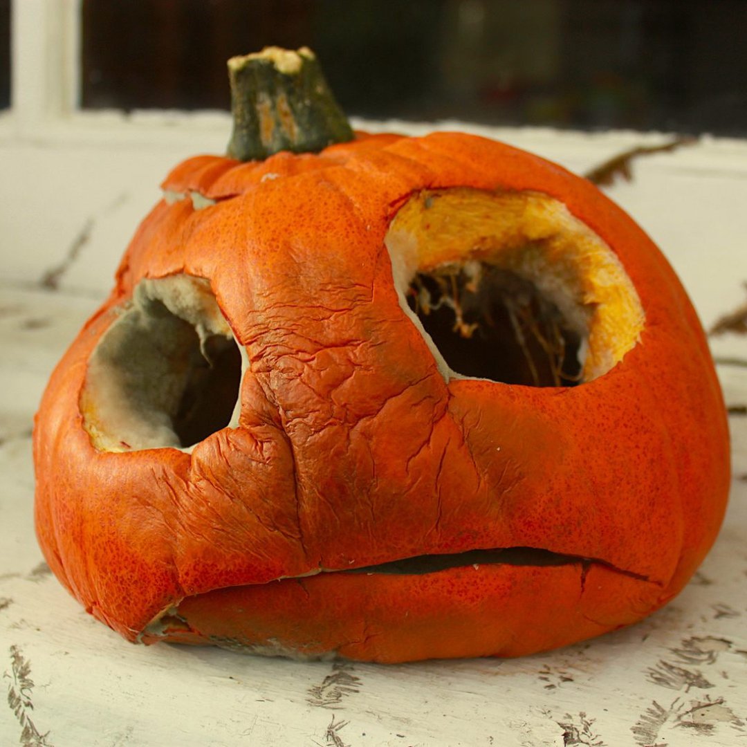 🎃 Horrified by Halloween food waste? In the UK, 18,000 tonnes of edible pumpkins go to waste 😱Don’t toss yours, cook it up! 🥧🍛 Find recipes 👉lovefoodhatewaste.com/foods-and-reci… &amp; join @GoodFoodOxon’s Pumpkin Festival 🎃 goodfoodoxford.org 🌱⚡#PumpkinRescue