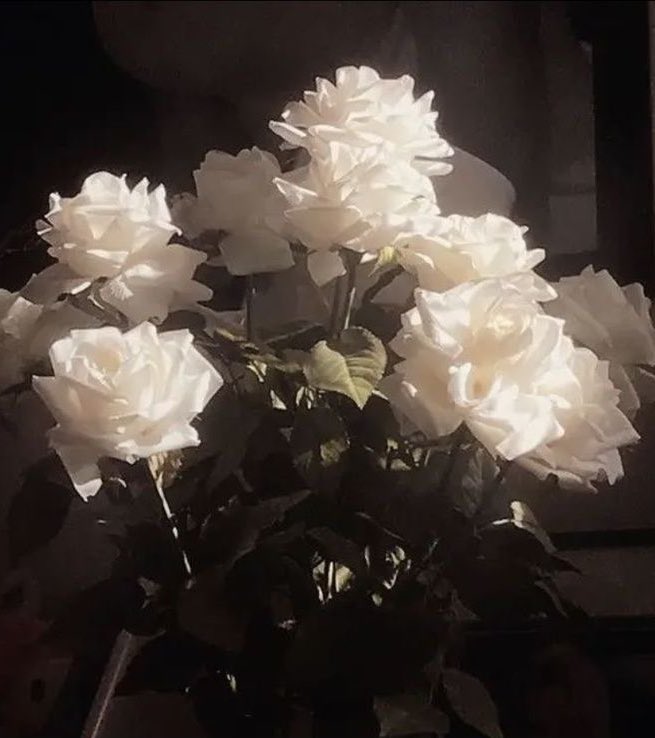 ᅠ

ᅠ
ᅠ

　　　　 a   fallen   star 
　　　　 found  it`s  way  to  your  eyes

　　　　＃   Halloween .
ᅠ

ᅠ
ᅠ