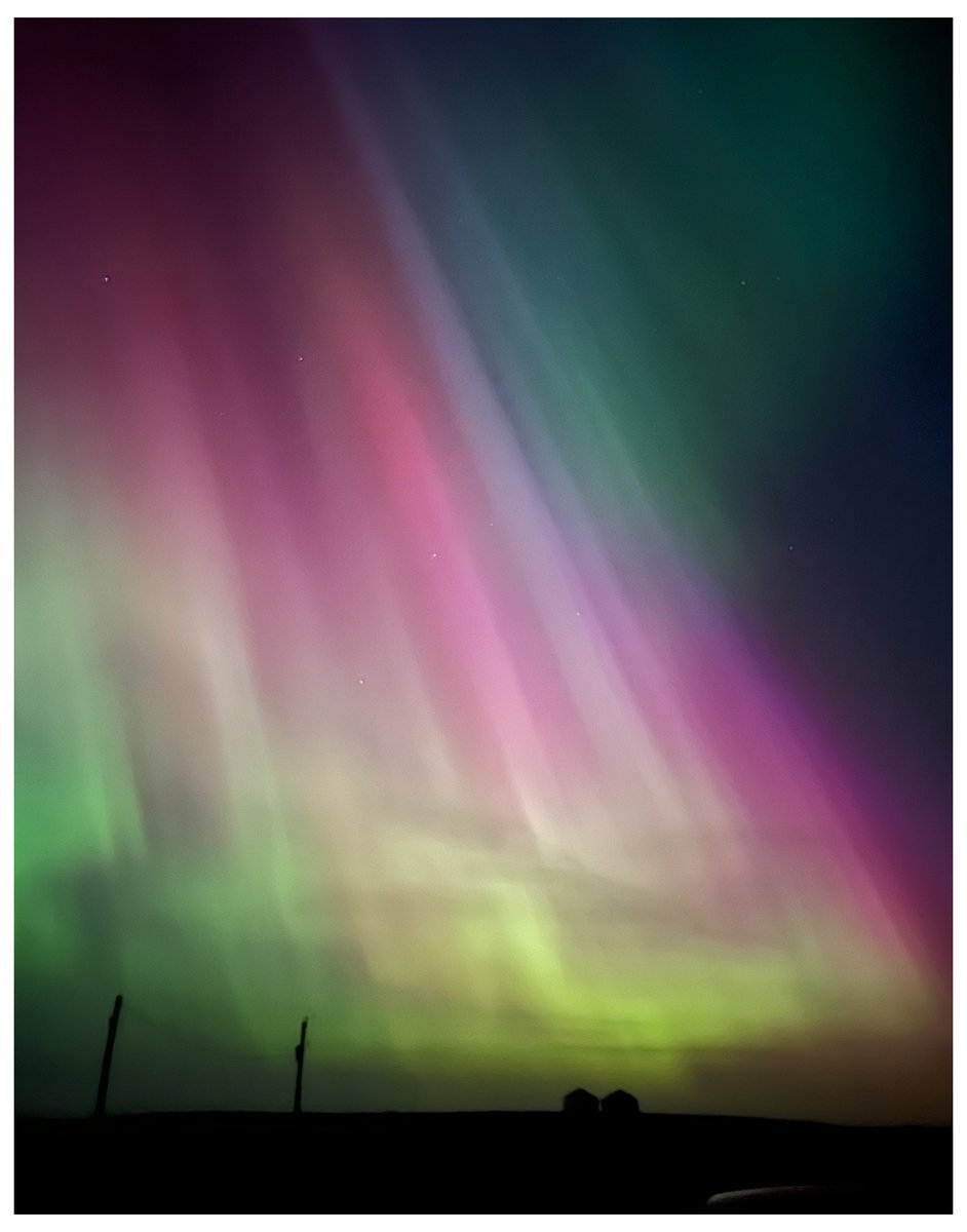 Can you guys tell me what this is? Taken with #iPhone back in May 2024.