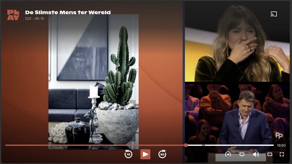 "Cactus was de eerste"
Neee!!!! dat is geen cactus. Da's euphorbia/wolfsmelk...
#domstemensterwereld