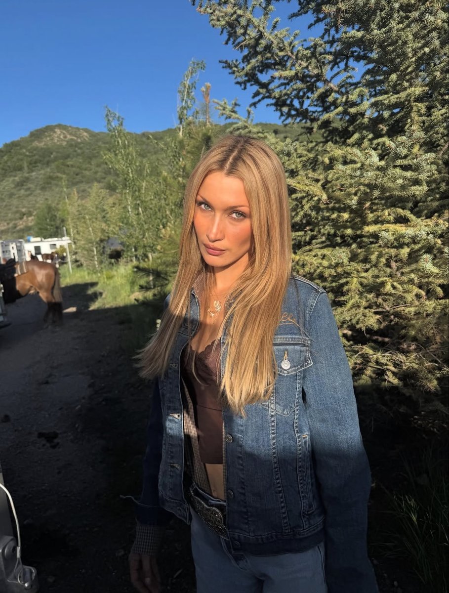 bella archive tweet media