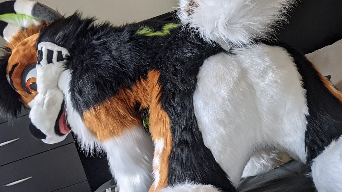 I heard you like fursuit butts 🍑✨
