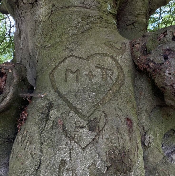 CC_Riumba's tweet image. ✈️;;•🧳°__ Volviste. . . 
— #RiumbaEscritos • #riumba
.
.
[ One - Shot ]
. 
.

~ 💙🤍 ~