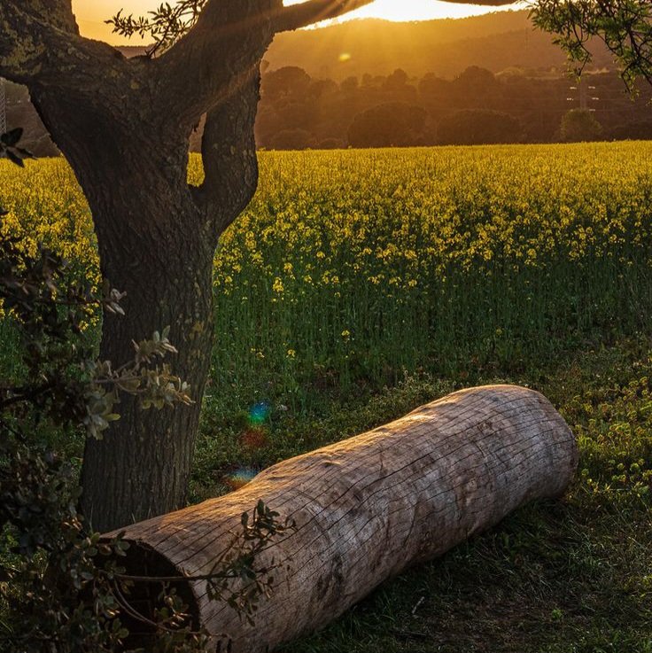 CC_Riumba's tweet image. ✈️;;•🧳°__ Volviste. . . 
— #RiumbaEscritos • #riumba
.
.
[ One - Shot ]
. 
.

~ 💙🤍 ~