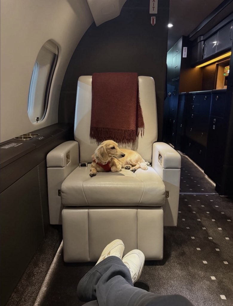 marrlec's tweet photo. must be really hard living Leo’s life https://t.co/qTx1uHEUDB