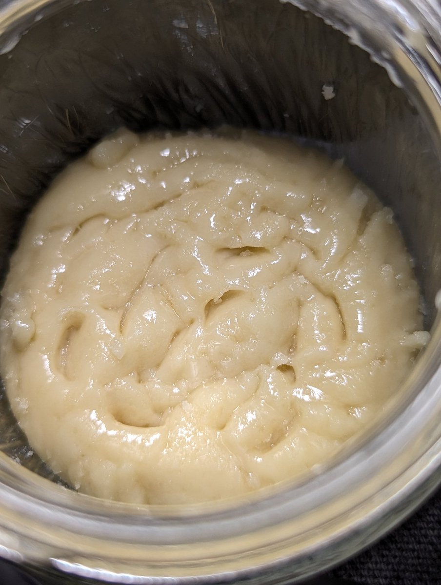 averagecannaguy's tweet photo. Papaya ✨ https://t.co/BrdiXkSkCF