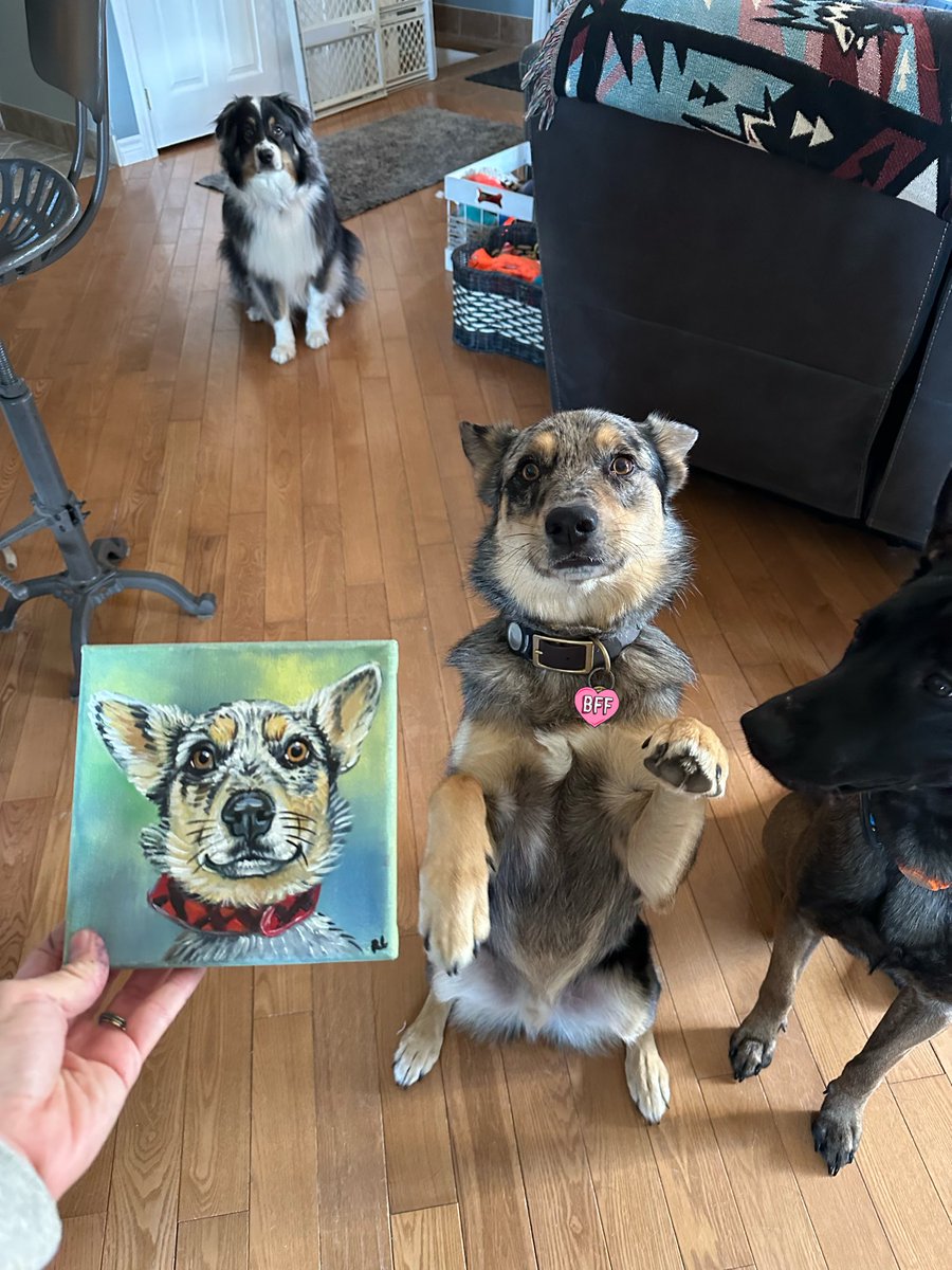 Thank you <a href="/Chewy/">Chewy</a> We love being Canadian clients! Dash loves his portrait!