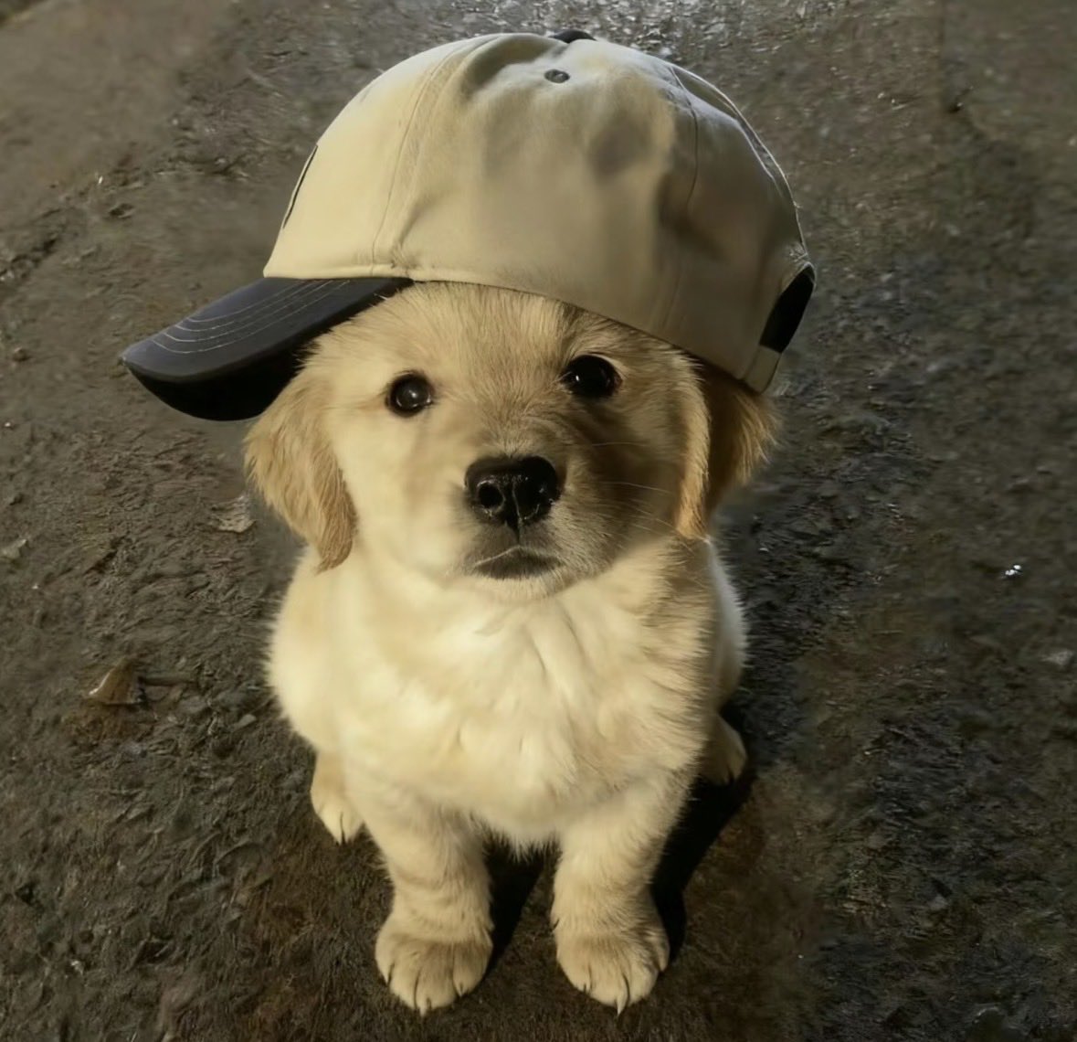 twaniimals's tweet photo. https://t.co/s44JI7zD3V