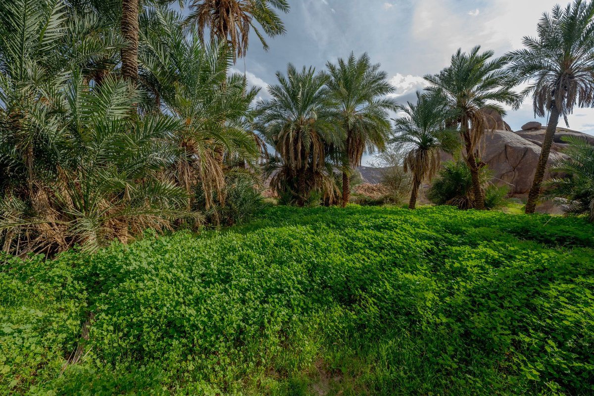 يمكنك أن تقطع كل الزهور ، لكنك لا تستطيع منع قدوم الربيع .

- بابلو نيرودا 📚