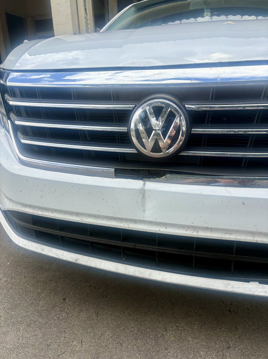 We're here for the bugs that didn't get the memo... it's Fall, y'all ! 🐜💥