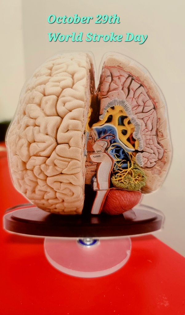 Sini Paul tweet media