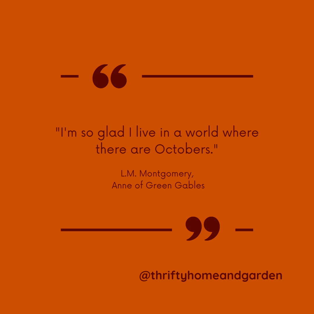 thriftyhomegrdn's tweet photo. October ๐
https://t.co/IGlvUrEv4A
#seasonalquotes #october #octobervibes #quotesaboutoctober #anneofgreengables #livewellforless https://t.co/9gux73wA7W