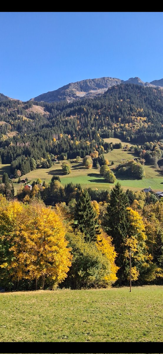 Deville Cavellin Patrick (@cavellinpatrick) on Twitter photo 