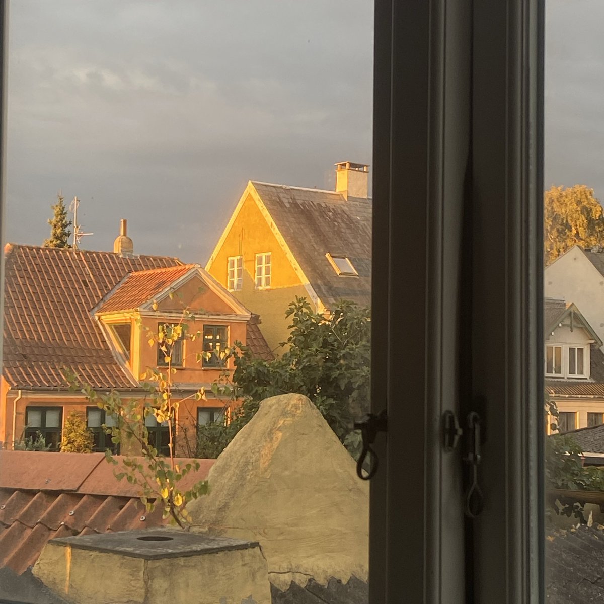 Jer⭕en Vlieland💉💉💉💉💉💉🇺🇦🇪🇺🏳️🌈🇺🇳😷 tweet media