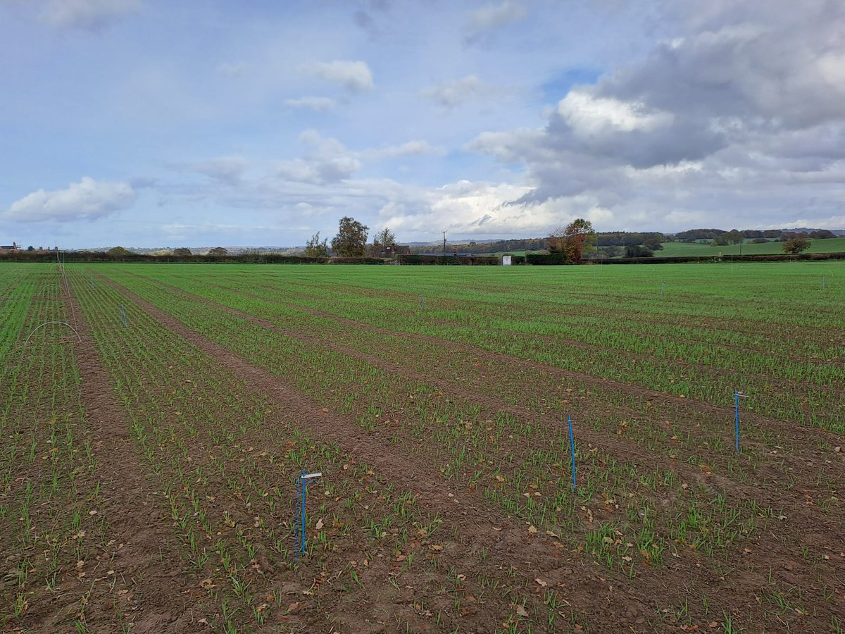 Megan Edmonds tweet media