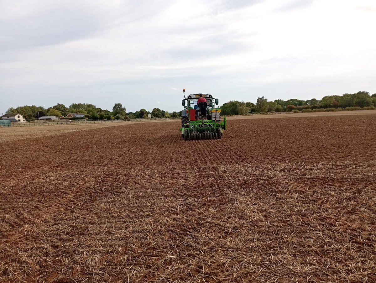 Megan Edmonds tweet media