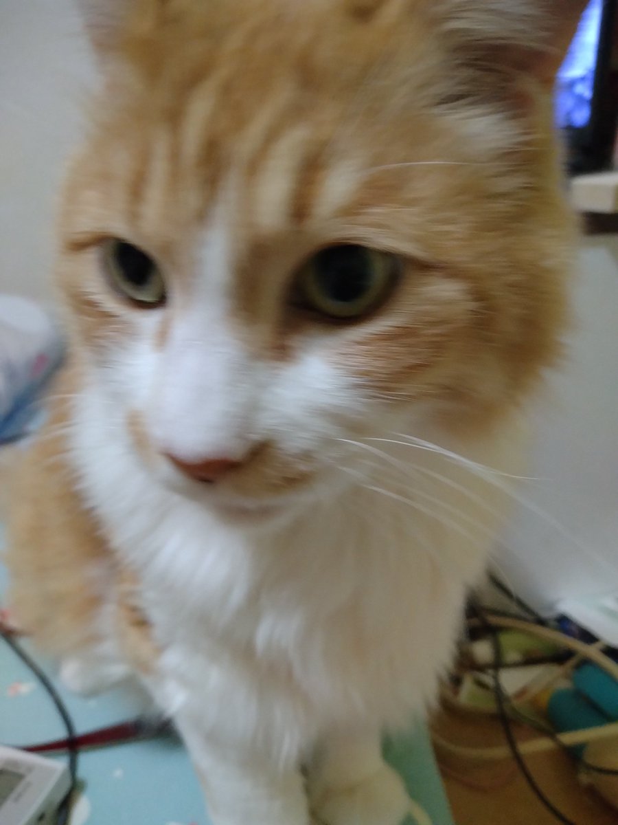 user_0661687f•*¨*•.¸♬︎ ヨハン on X