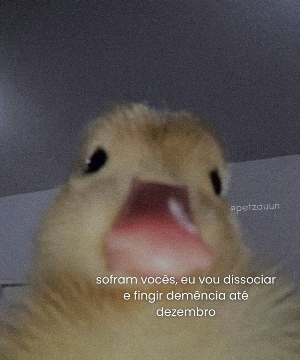 vittor's tweet photo. brasil obrigada a gente pensar assim https://t.co/ZYqa1pZf0h