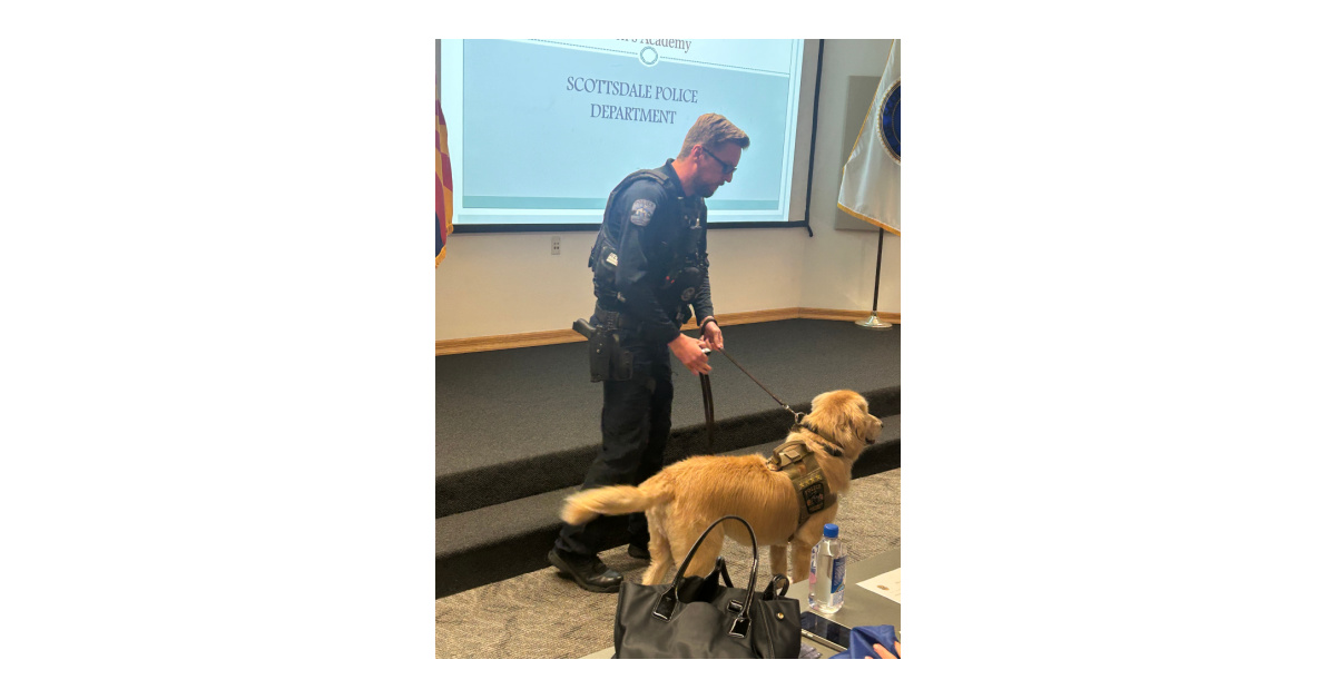 GoldenHeartSDL's tweet photo. Learning from Scottsdale’s Finest https://t.co/KDOXrGZXLs https://t.co/rHAi08nYAX