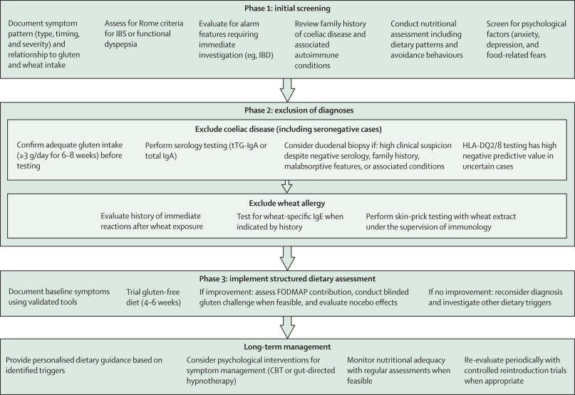 john_damianosMD's tweet image. Non-celiac gluten sensitivity arises through several potential mechanisms including psychological factors (e.g., nocebo effect) and FODMAP effect (fructans). 

thelancet.com/journals/lance…