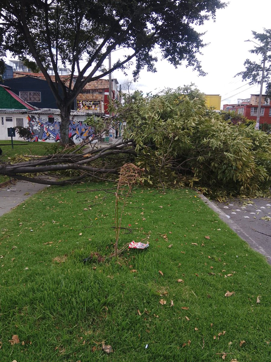 KatherinPosadaN's tweet photo. 🚨 ¡Atención!En la Cra 51B #40A-02, barrio Muzu (Puente Aranda) cayó un árbol 🌳 que está bloqueando el paso peatonal y vehicular.
Solicitamos atención urgente para evitar accidentes ⚠️
@Bogota @idubogota @JBotanicoBogota @BomberosBogota @Ambientebogota
#PuenteAranda #Bogotá https://t.co/NJeswO7OWn