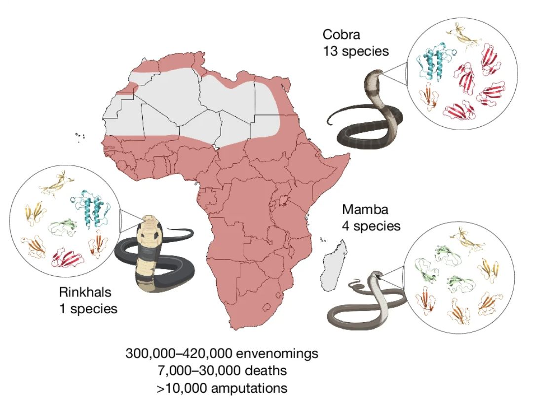 Andreas Laustsen tweet media