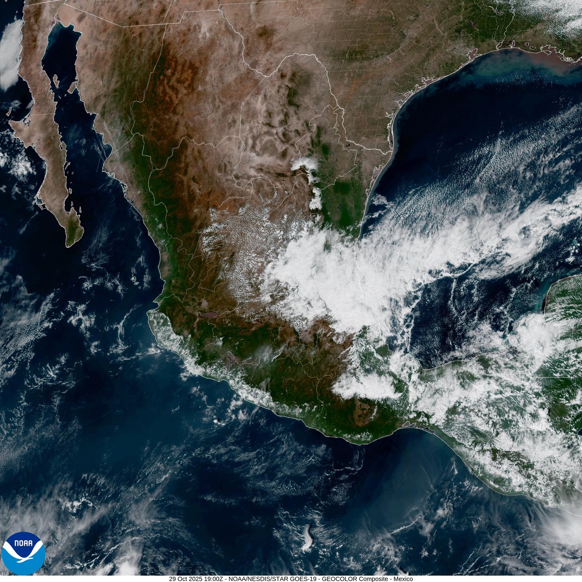 InfoMeteoro's tweet photo. ¡BIENVENIDOS #FrenteFrío11 Y AIRE POLAR!

💠Así recorre el Golfo de México, llegando actualmente al centro de Veracruz con lluvias fuertes a su paso especialmente en región Huasteca

🌬️PRIMER EVENTO NORTE alcanza los 100 km/h entre Tamaulipas y Veracruz, incluso 110 km/h son probables, superando este rango en el Istmo de Tehuantepec en próximas horas por aire polar.

🥶En estado del Altiplano del Bajío al Valle de México el viento seguirá con más de 50 km/h, enfriándose el ambiente esta tarde-noche