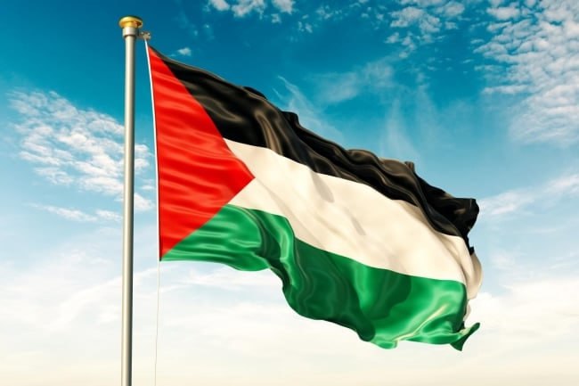 SaveAmericaNew's tweet image. Simple YES or NO poll. Do you stand with Palestine?

A. Yes
B. No