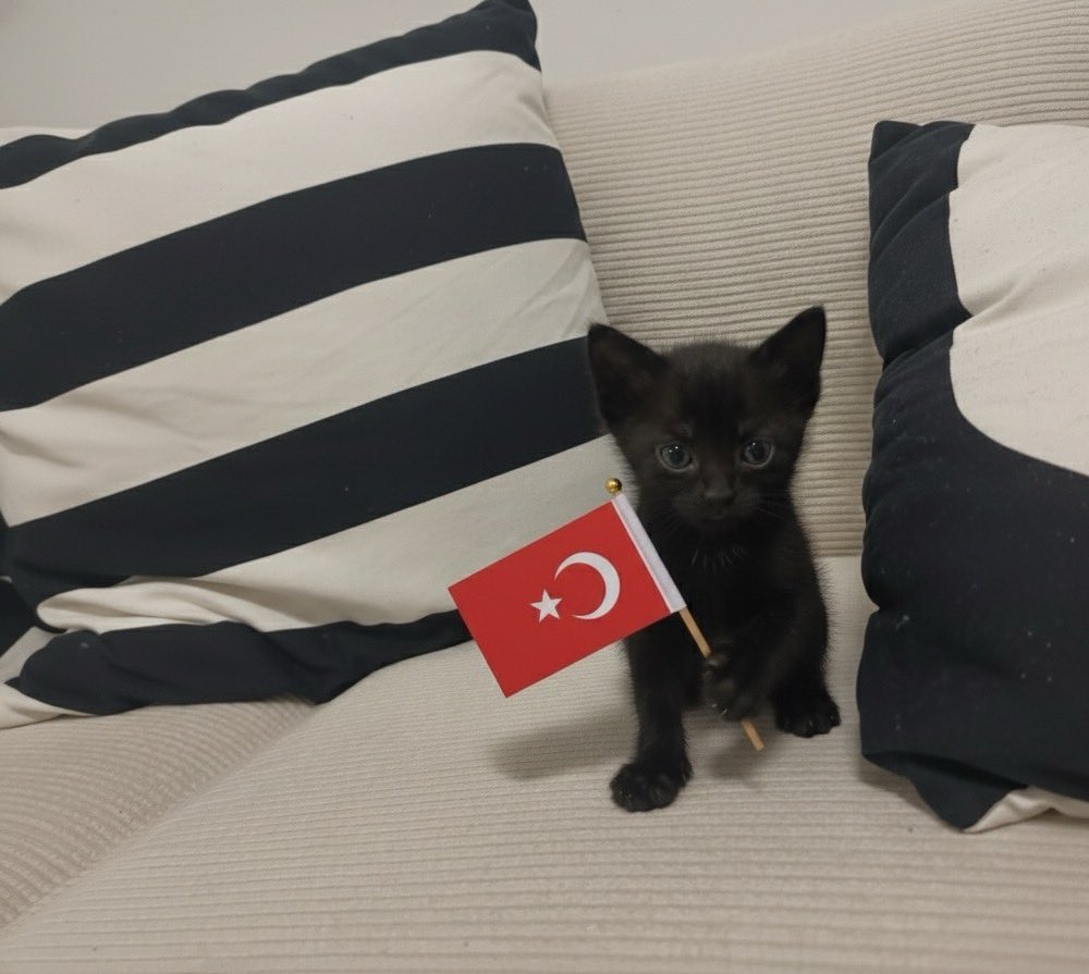 senınle borte ve yulaf olabılırdık