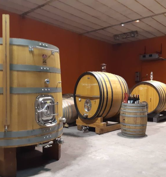 Bodegas Canopy tweet media