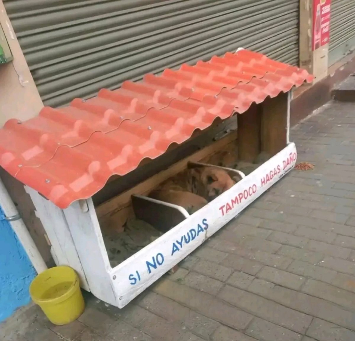 Sabueson's tweet image. Mas gente así