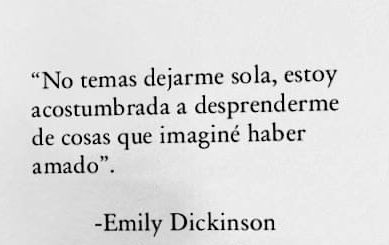 literlandweb1's tweet image. 