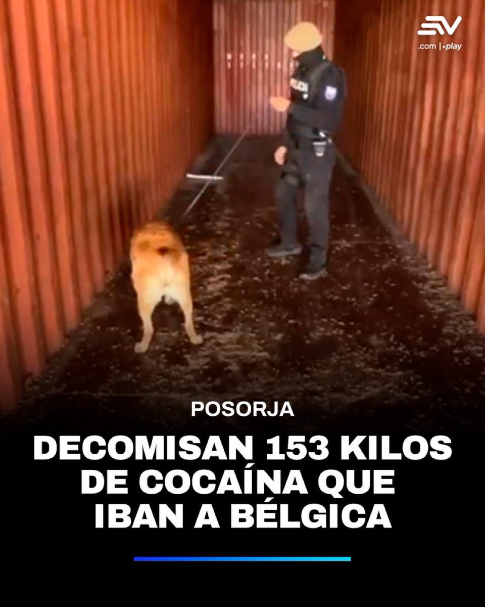 A ustedes también les pasa que cuando les dicen “BÉLGICA” se acuerdan de un tal 4 pelos?