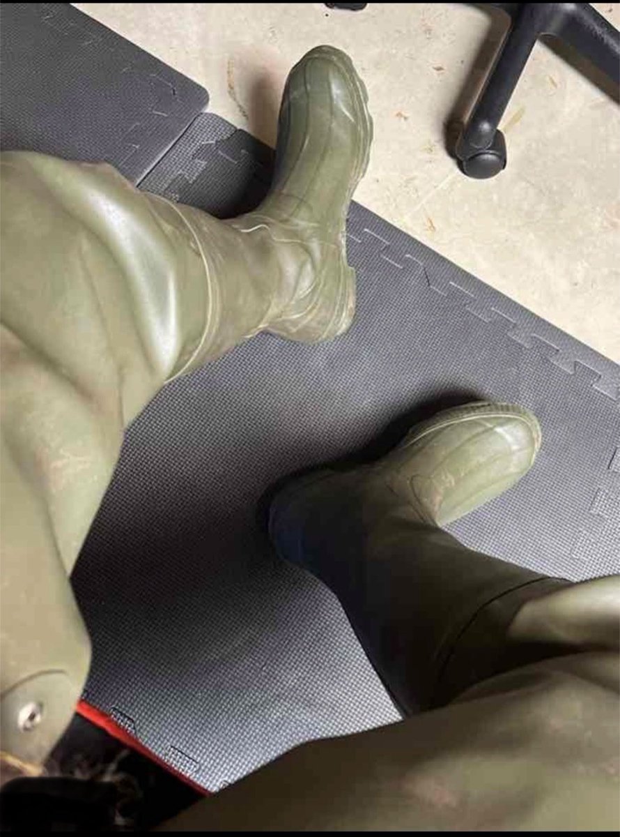 Bootstud tweet media