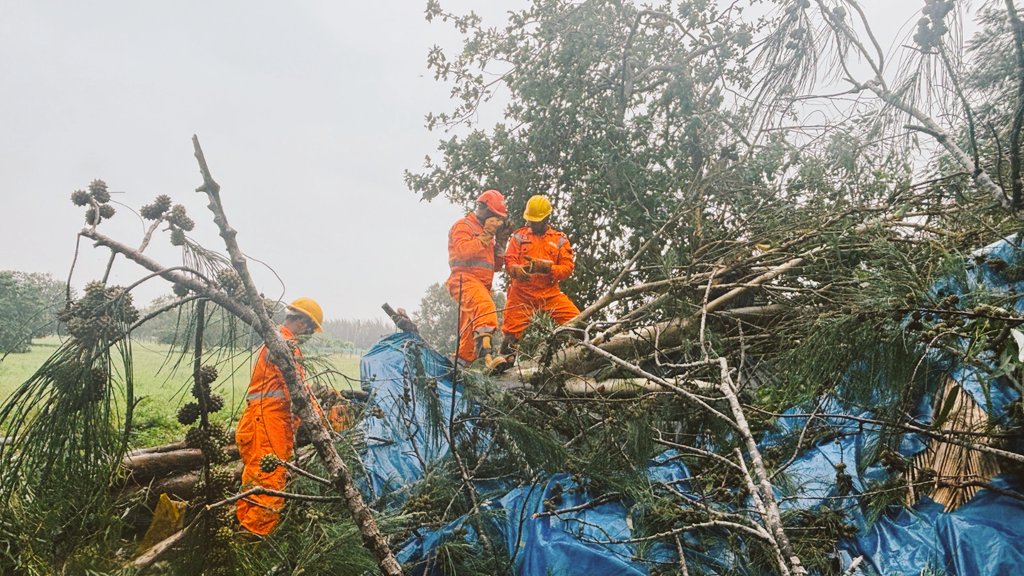 SajuddinAnsari4's tweet image. #Odisha #CycloneMontha #เขมจิราต้องรอดseries साइक्लोन मंथा30.10.25 के अनुसार आंध्र प्रदेश में2मौतें हुई हैं,87,000 हेक्टेयर फसलें बर्बाद,380किमी सड़कें14 पुल प्रभावित,और भारी बारिश से बाढ़ जैसी स्थिति। ओडिशा, तेलंगाना, झारखंड, मध्य प्रदेश, पश्चिम बंगाल में भारी बारिश जारी,