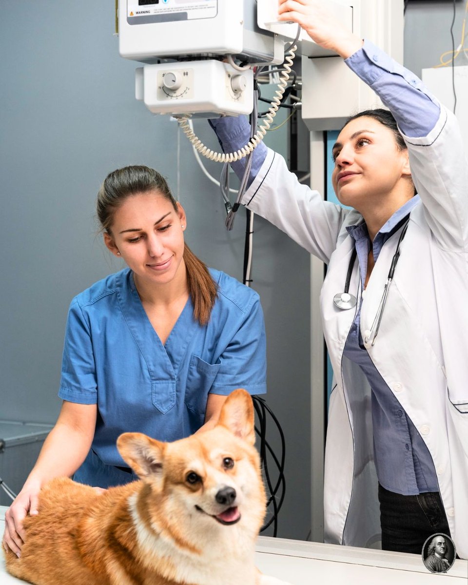 benfinance2024's tweet image. 🐾 Veterinary Financing Made Simple 🩺
Empowering clinics with flexible funding to provide exceptional pet care.

💼 Explore options that work for you today: benjaminfinancial.com

#VeterinaryFinancing #PetCareProfessionals #BusinessGrowth #HealthcareFunding
