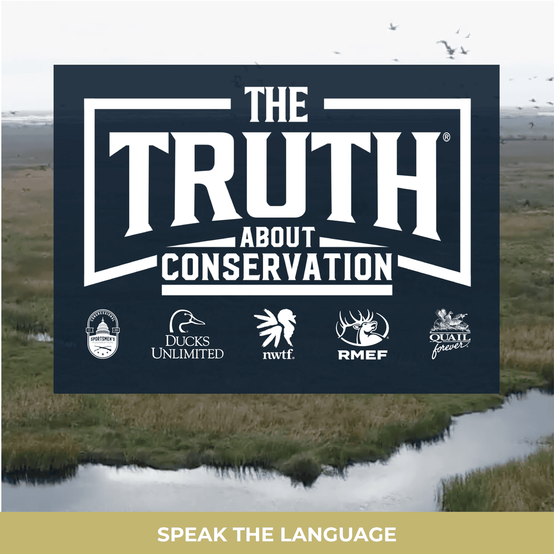 5 iconic Purdey guns will be auctioned by Rock Island Auction on Dec 5. And 6 organizations, including DU will benefit from the sale of these truly unique firearms donated by Will Primos.  Learn more about the Purdey auction  TheTruthAboutConservation.com