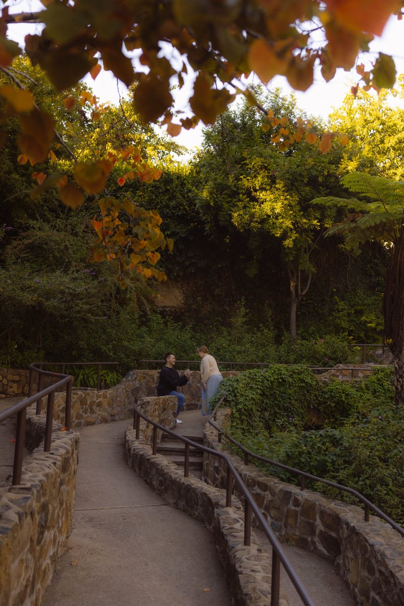 doro44twitch's tweet image. She said yes.