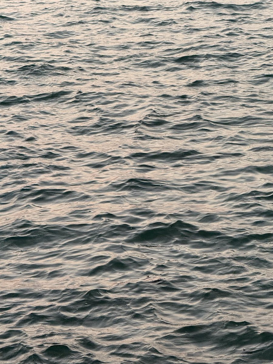 lunal4l's tweet photo. 🌊✨ https://t.co/dduPk6GOyJ