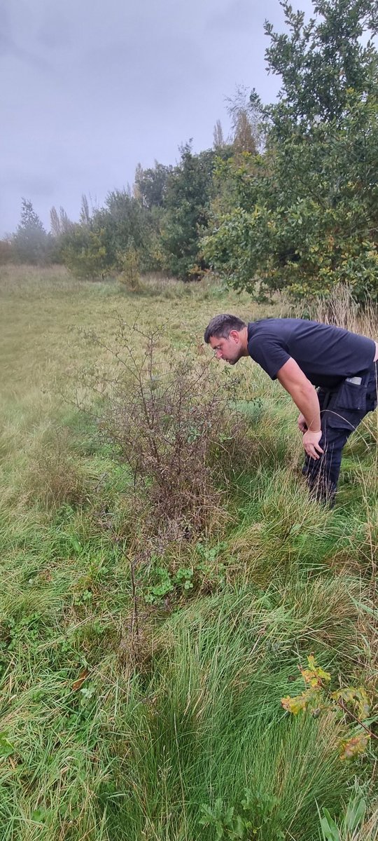 David Dowding tweet media